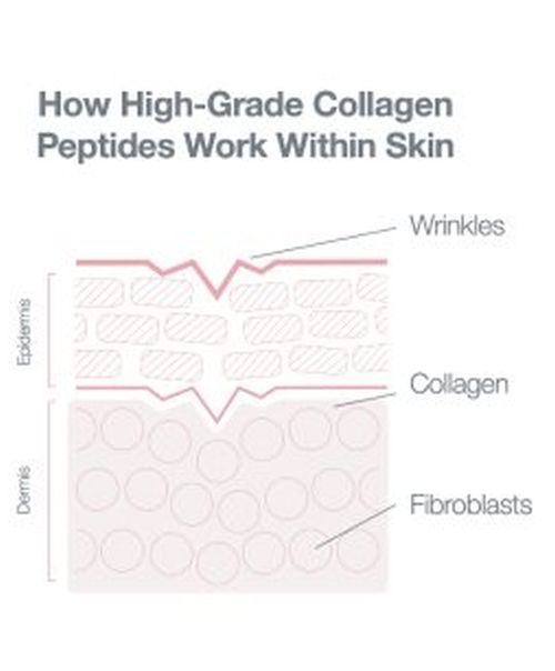 high grade collagen peptides